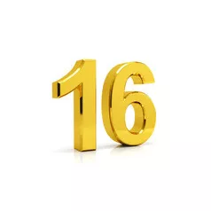 iPhone 16 / 16 Plus